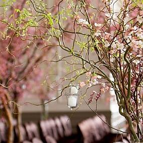 manzanita-branches-for-weddings-4