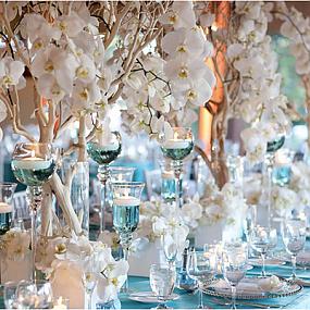 manzanita-branches-for-weddings-6