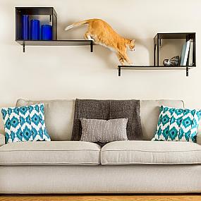 modern-furniture-pets-15