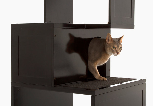 modern-furniture-pets-16