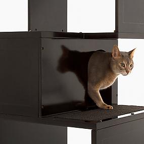 modern-furniture-pets-16