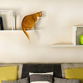 modern-furniture-pets-20