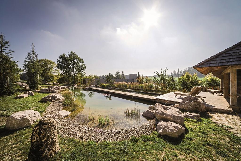 natural-pool-10