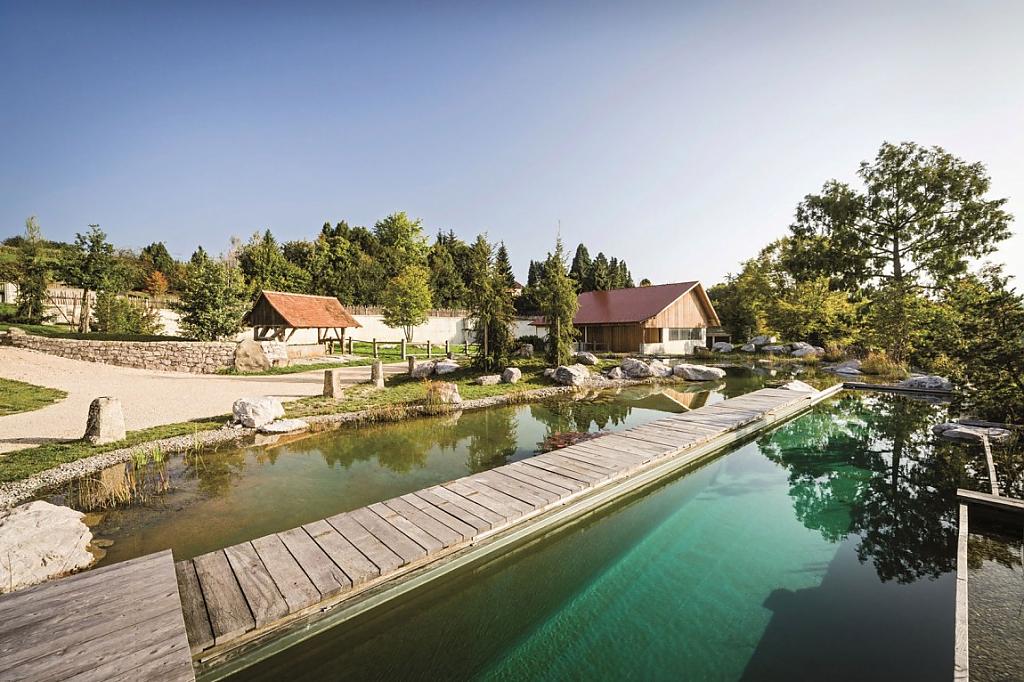 natural-pool-14
