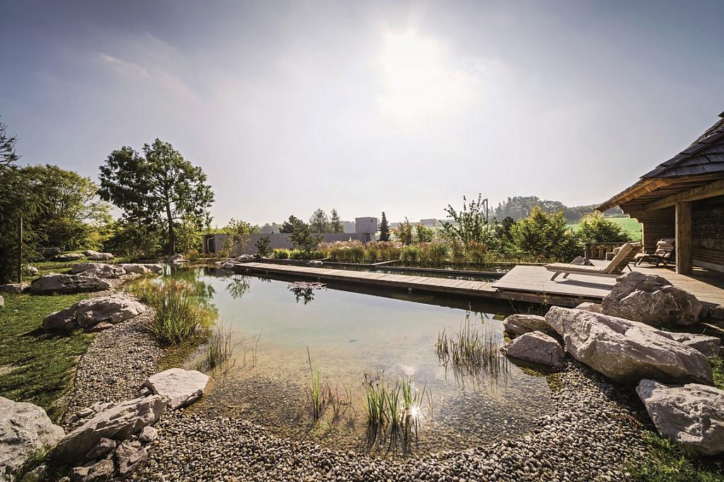 natural-pool-9
