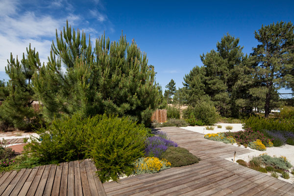 project-in-the-alentejo-idea-8