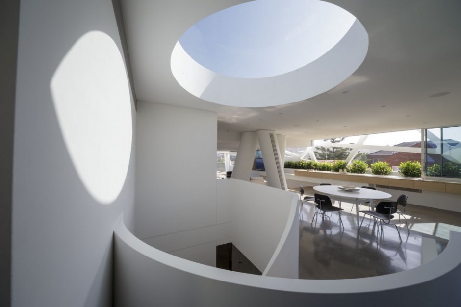 project-spider-details-5