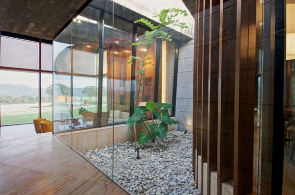 stunning-indoor-gardens-13
