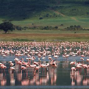 the-ngorongoro-crater-lodge-6