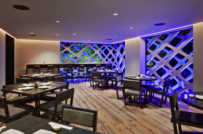 tori-tori-restaurant-6
