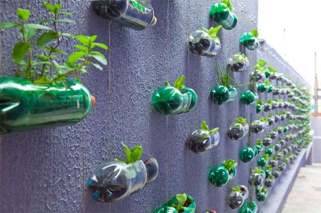 vertical-garden-3