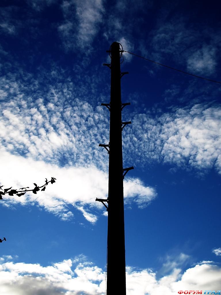 olympus-digital-camera----------325