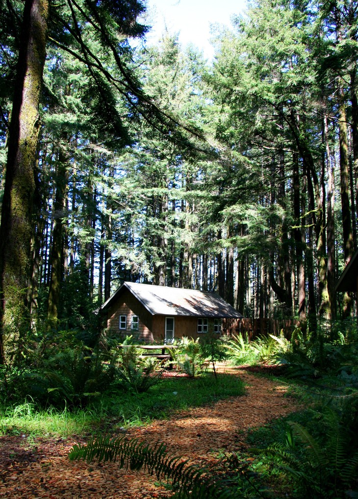Лесные окрестности курорта WildSpring