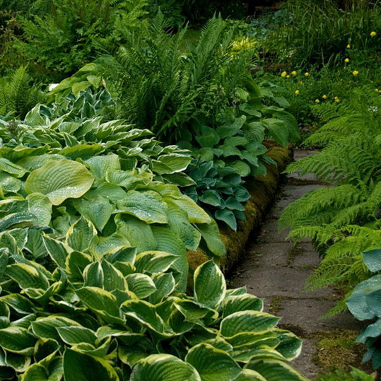 garden-style-country-13