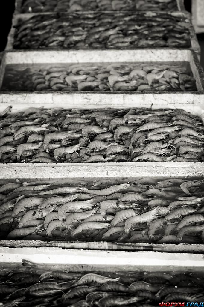 фото ярмарки