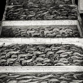 фото ярмарки