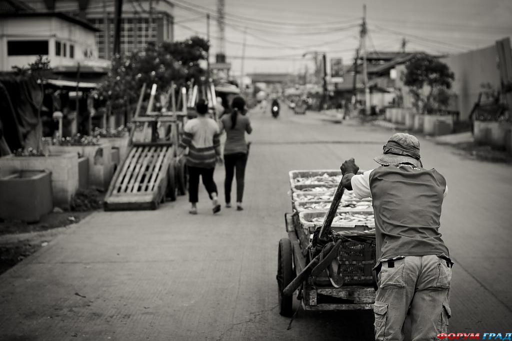 фото ярмарки