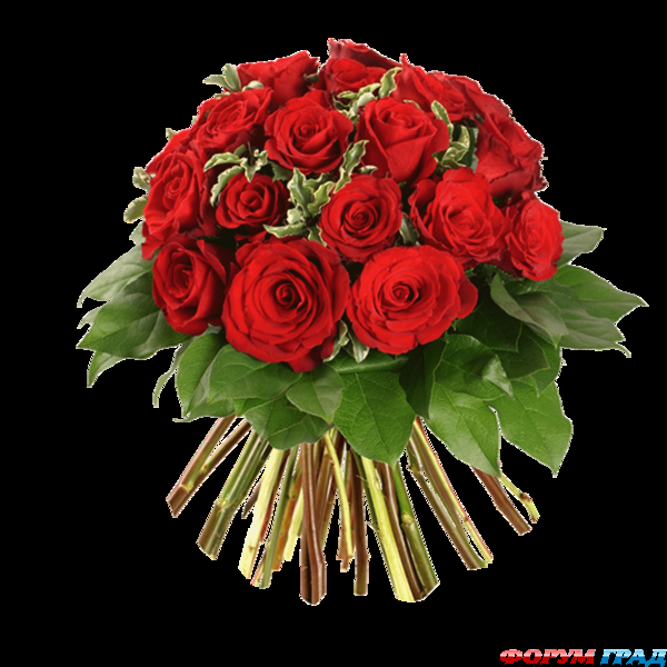 Букет из алых роз