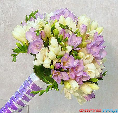 Букет из цветной фрезии