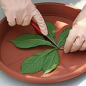 садовые дорожки своими руками