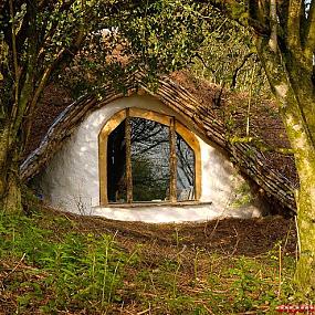 Ломик хоббита