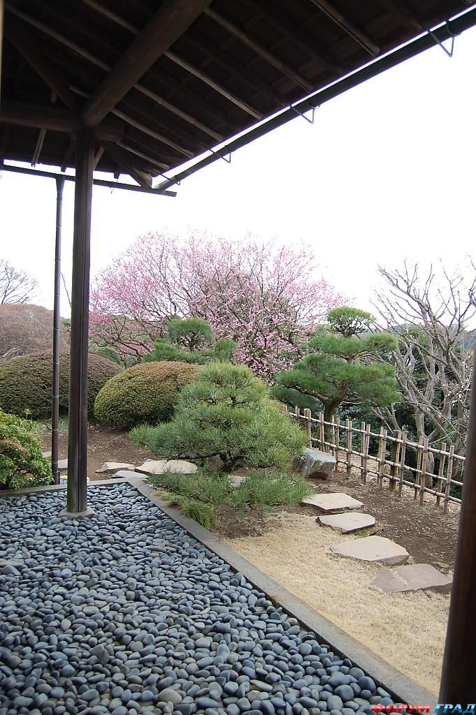 Сад Kairaku-en Япония