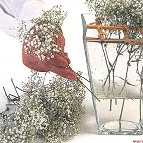 Симметричный букет