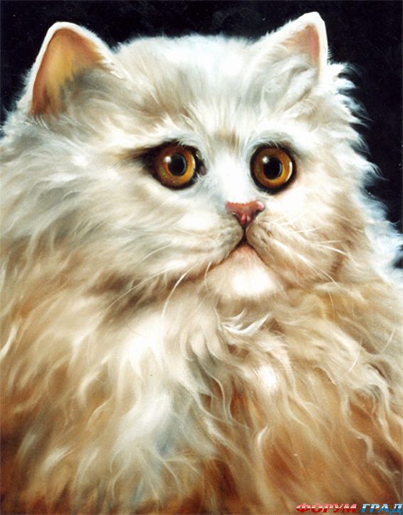 Кошки художника Gary Jenkins