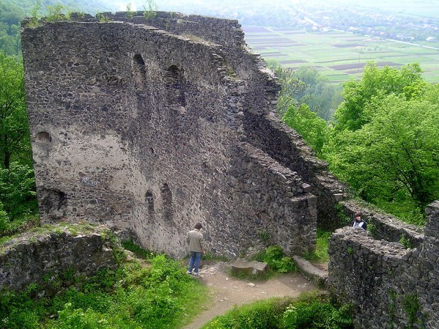 Невицкий замок