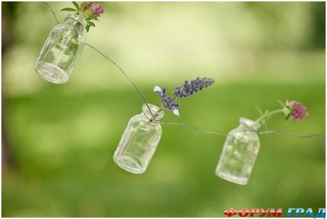 цветы в баночках