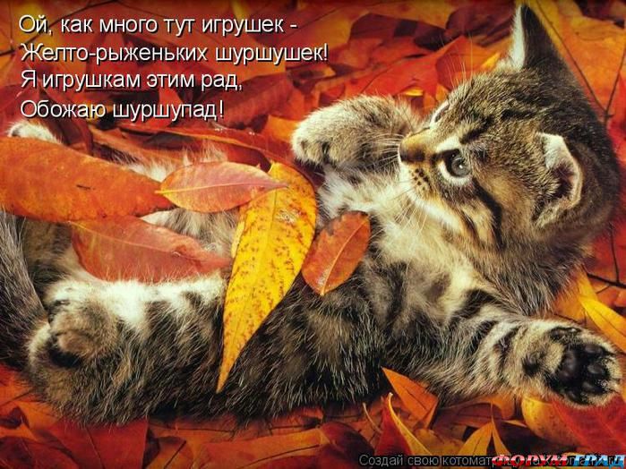 Кошачьи демативаторы