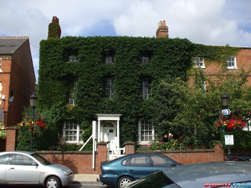 Дом с плющем4