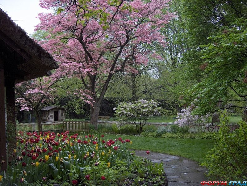 английская деревня