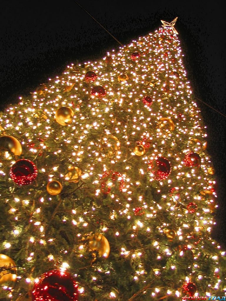 Новогодняя елка