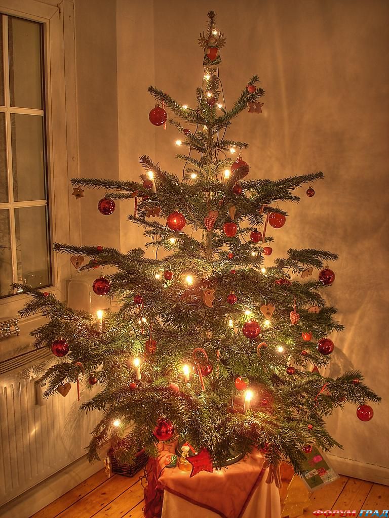 Christmas tree
