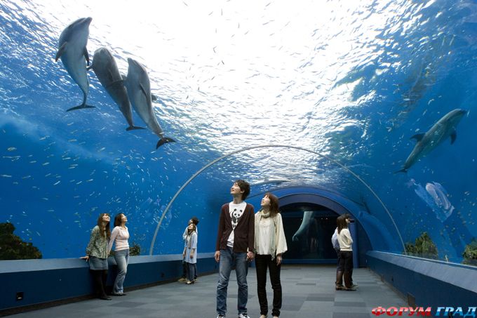 Churaumi Aquarium