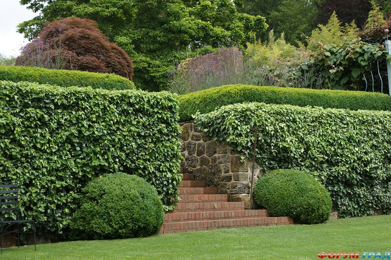 Cloudehill Gardens