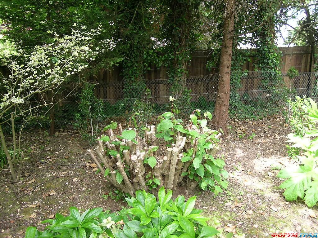 Сад Денманс