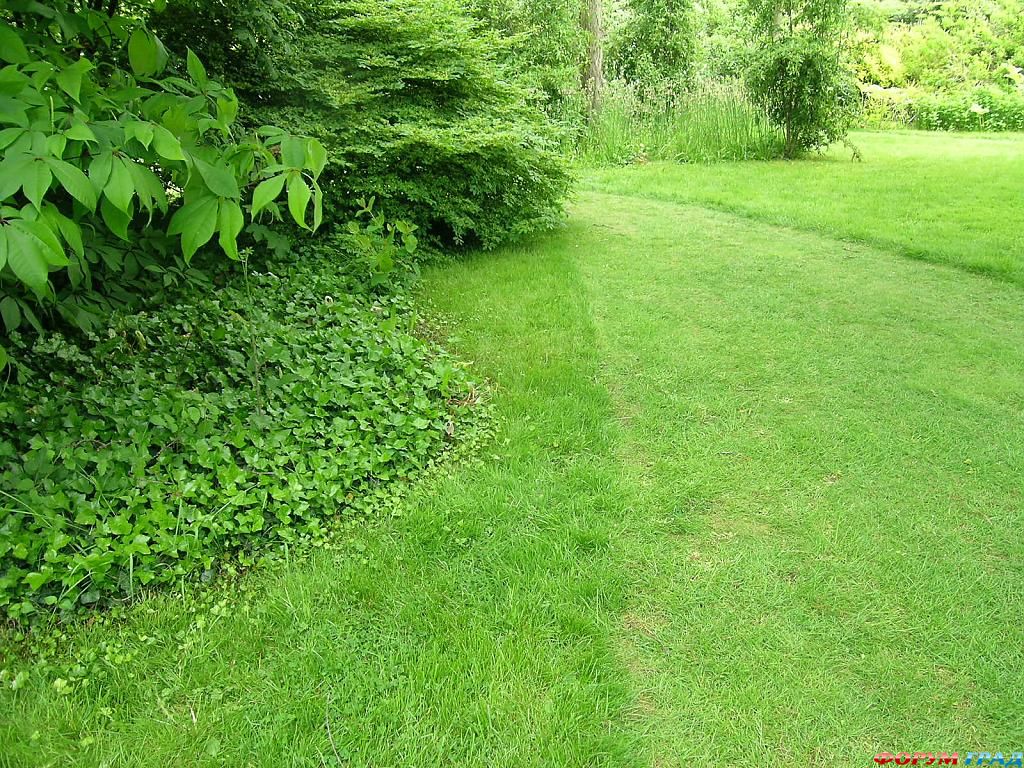 Сад Денманс