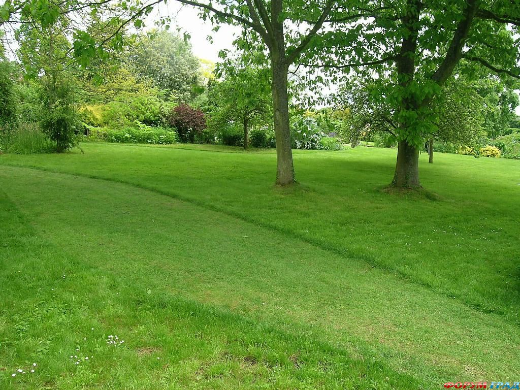 Сад Денманс