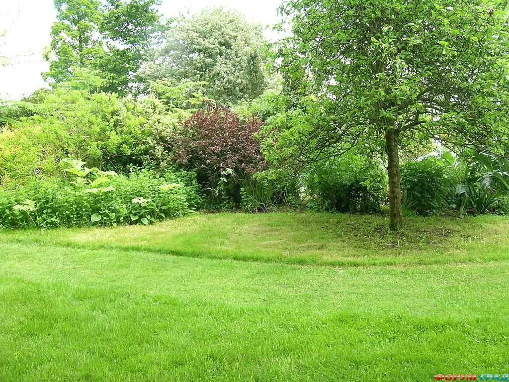 Сад Денманс