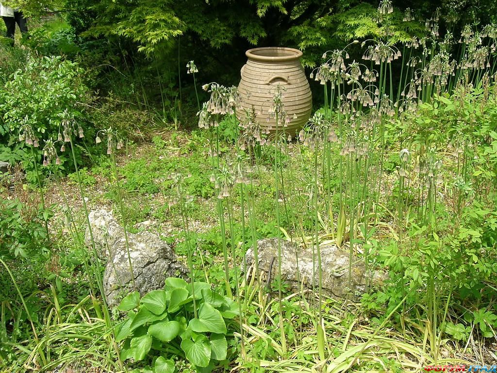 Сад Денманс