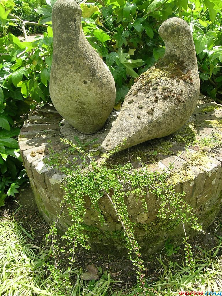 Сад Денманс