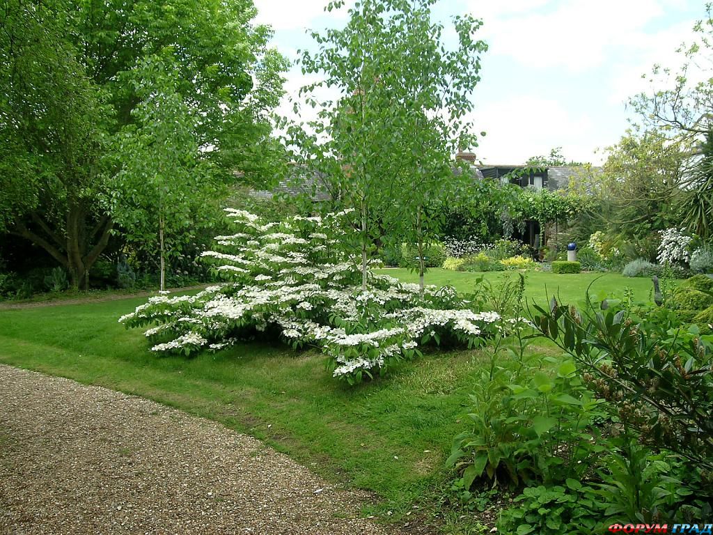 Сад Денманс