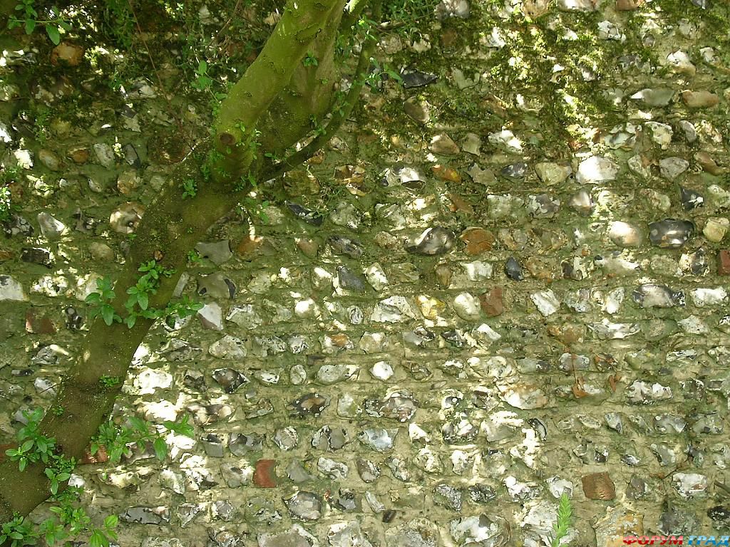 Сад Денманс