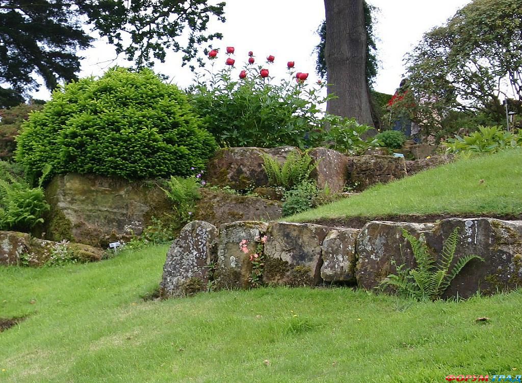 Сад Денманс