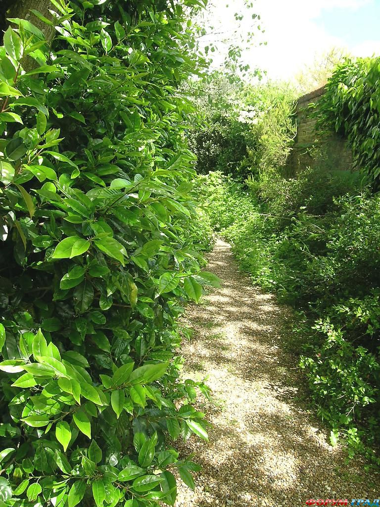 Сад Денманс