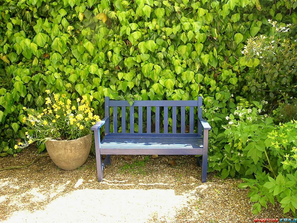 Сад Денманс