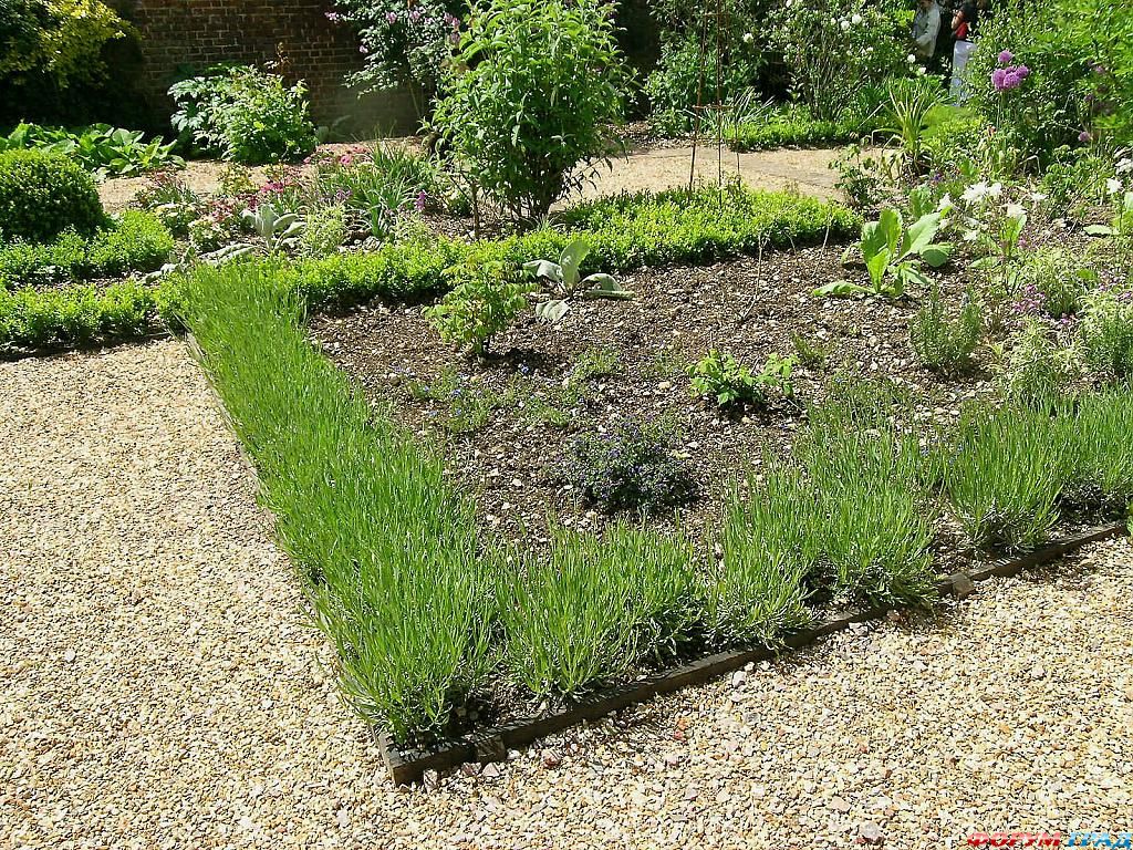 Сад Денманс