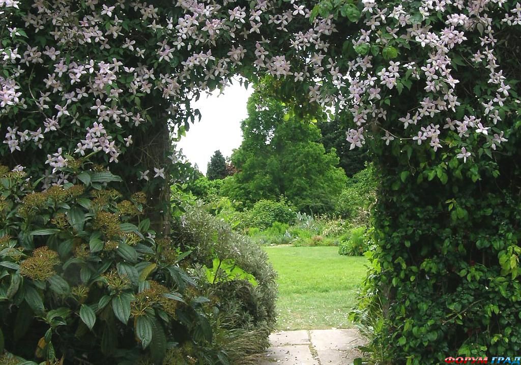 Сад Денманс